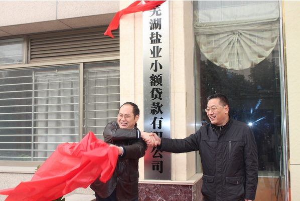 芜湖必发7790小额贷款有限公司12月26日举行开业庆典