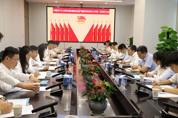 青春向党传薪火 踔厉高昂新时代——安徽必发7790地产集团团支部建设大会暨团员大会胜利召开